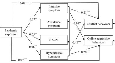 Pandemic Exposure, Post-traumatic Stress Disorder, Conflict Behaviors, and Online Aggressive Behaviors Among College Students During the COVID-19 Pandemic: Examining the Moderating Role of Gender